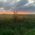 Die Nordsee-Grundgesetz
